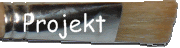 Projekt